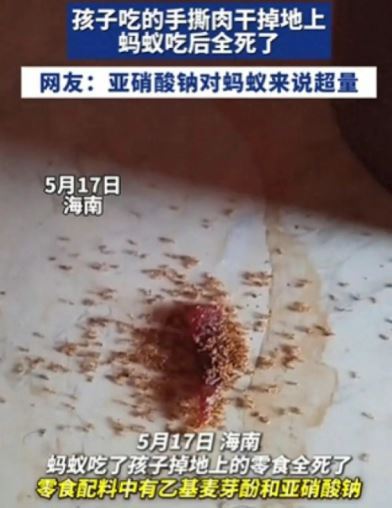 內地零食碎引螞蟻啃食3分鐘即全暴斃！專家拆解2大添加劑致命真相／網民嘲：殺蟻新藥