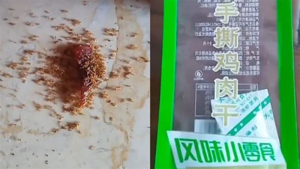 內地零食碎引螞蟻啃食3分鐘即全暴斃！專家拆解2大添加劑致命真相／網民嘲：殺蟻新藥