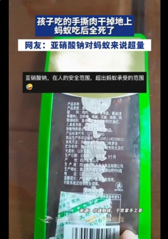 內地零食碎引螞蟻啃食3分鐘即全暴斃！專家拆解2大添加劑致命真相／網民嘲：殺蟻新藥