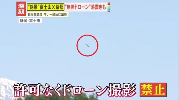 富士山下茶園絕景變調！大淵笹場現「無斷無人機」與惡意塗鴉 擬收「百円協力金」抗觀光公害 