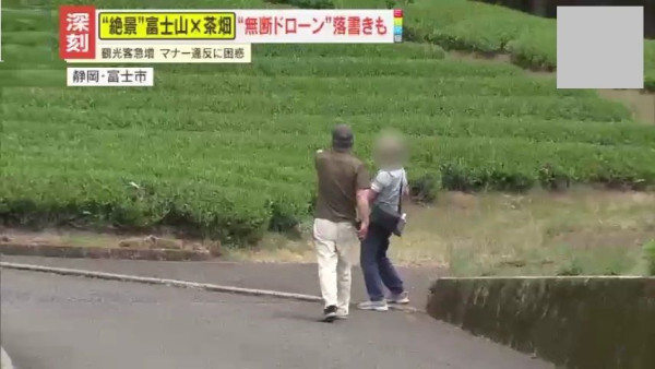 富士山下茶園絕景變調！大淵笹場現「無斷無人機」與惡意塗鴉 擬收「百円協力金」抗觀光公害 