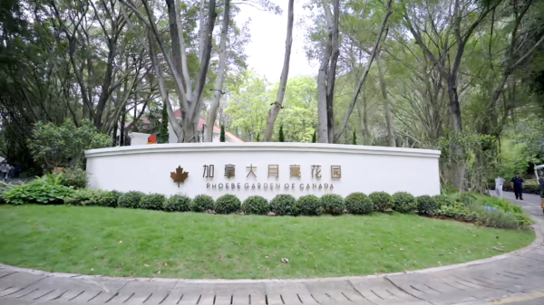 深圳福田園博園新景點免費入場！「APPLE LAND」童話風創意街區 巨型蘋果萌貓＋四大異域花園 