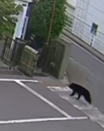 照片來源：福島製鋼