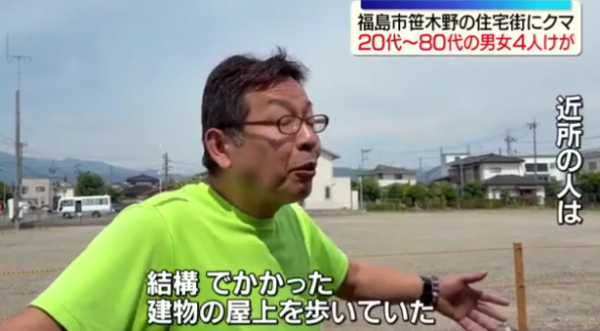日本熊害｜福島市區逾1.2米巨熊連環狂襲4人！中麻醉槍竟「無睡意」發狂爆走仍在逃 