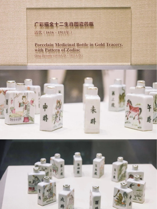 廣州好去處｜廣東中醫藥博物館免費入場！600+中草藥標本超震撼＋五層展館慢遊指南 