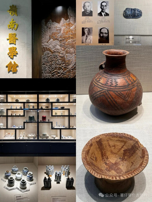 廣州好去處｜廣東中醫藥博物館免費入場！600+中草藥標本超震撼＋五層展館慢遊指南 