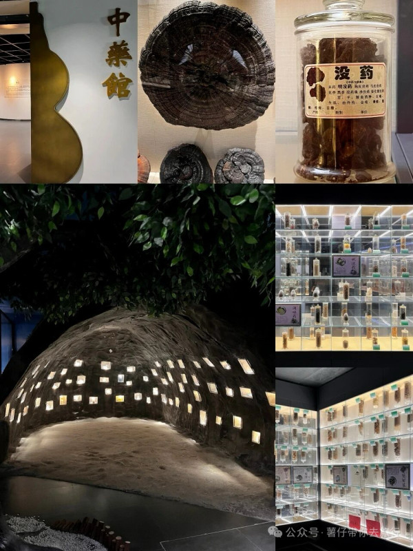 廣州好去處｜廣東中醫藥博物館免費入場！600+中草藥標本超震撼＋五層展館慢遊指南 