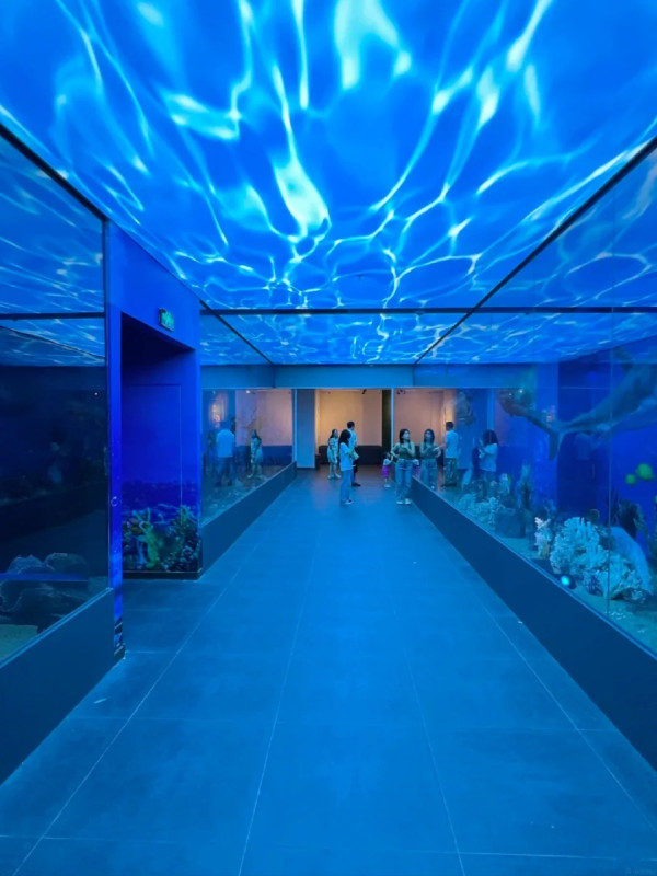 廣州好去處｜廣東中醫藥博物館免費入場！600+中草藥標本超震撼＋五層展館慢遊指南 