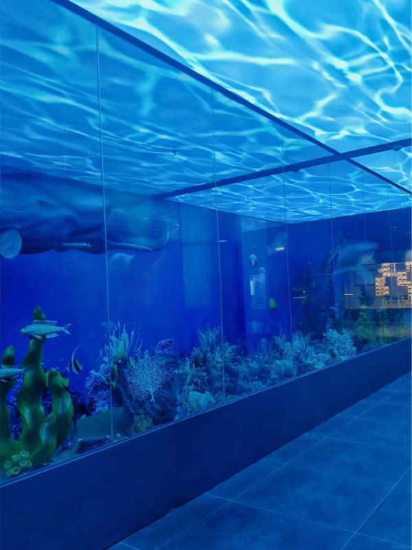 廣州好去處｜廣東中醫藥博物館免費入場！600+中草藥標本超震撼＋五層展館慢遊指南 