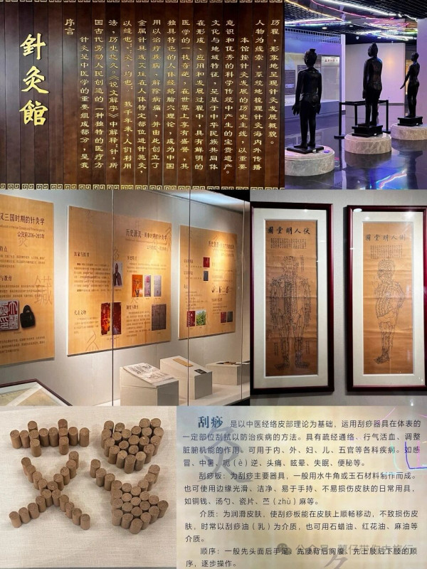 廣州好去處｜廣東中醫藥博物館免費入場！600+中草藥標本超震撼＋五層展館慢遊指南 