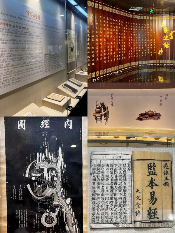 廣州好去處｜廣東中醫藥博物館免費入場！600+中草藥標本超震撼＋五層展館慢遊指南 