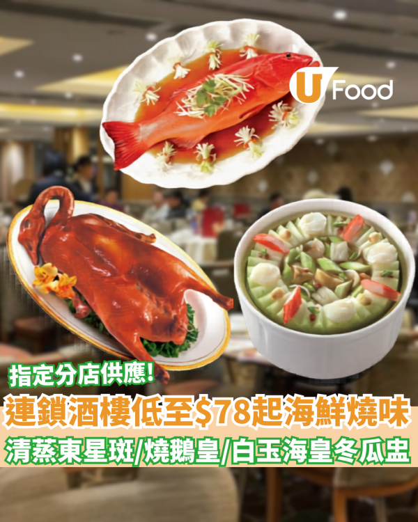 連鎖酒樓突發大劈價！低至$78起歎清蒸東星斑、招牌燒鵝皇、白玉海皇冬瓜盅 （附指定分店供應詳情）