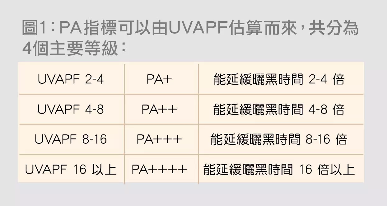 兒童防曬點揀好？幾多歲要開始搽? 附消委會選購指引＋6大BB防曬乳推介