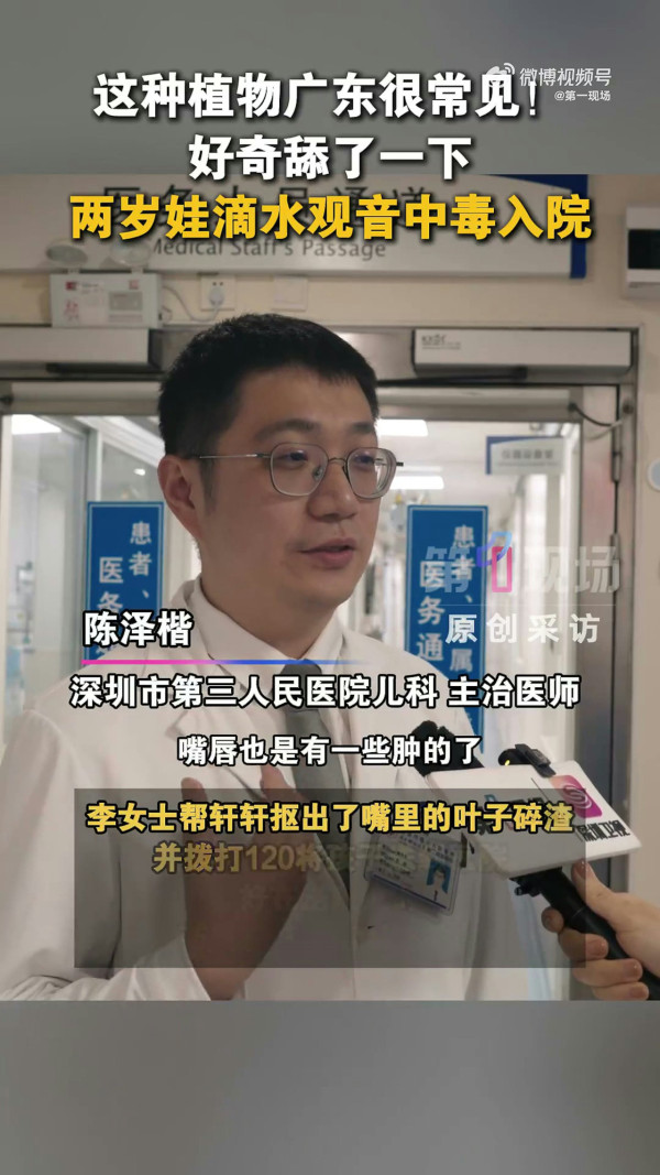 深圳男童公園誤食野草中毒 即變「孖膶腸」！崩潰狂喊：痛到似嘴巴冒煙！醫生揭4特徵分辨毒草 教3步急救