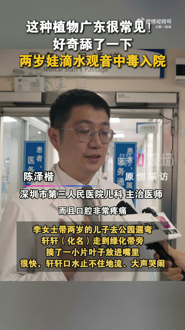 深圳男童公園誤食野草中毒 即變「孖膶腸」！崩潰狂喊：痛到似嘴巴冒煙！醫生揭4特徵分辨毒草 教3步急救