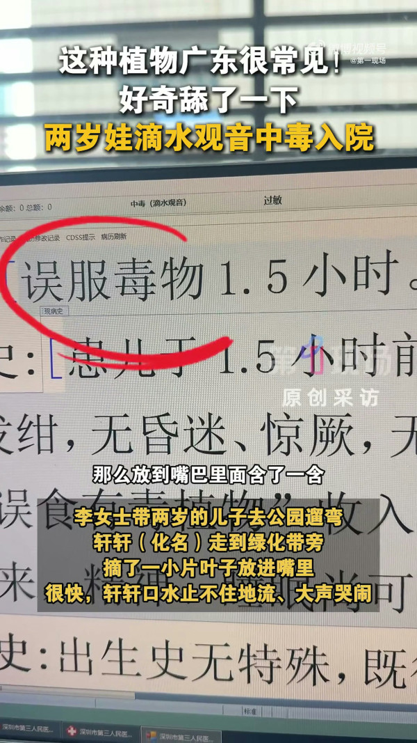 深圳男童公園誤食野草中毒 即變「孖膶腸」！崩潰狂喊：痛到似嘴巴冒煙！醫生揭4特徵分辨毒草 教3步急救