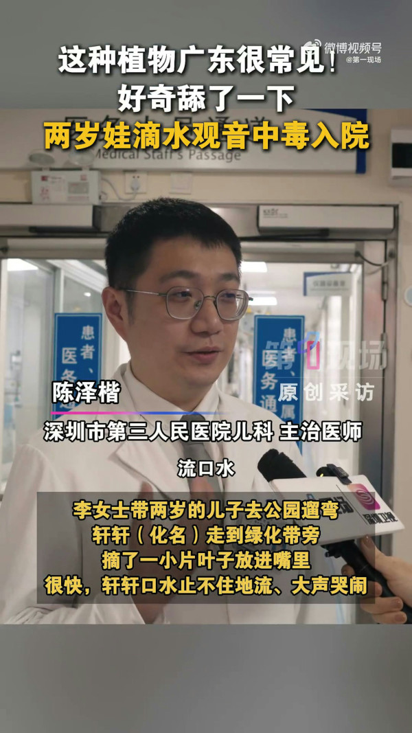 深圳男童公園誤食野草中毒 即變「孖膶腸」！崩潰狂喊：痛到似嘴巴冒煙！醫生揭4特徵分辨毒草 教3步急救