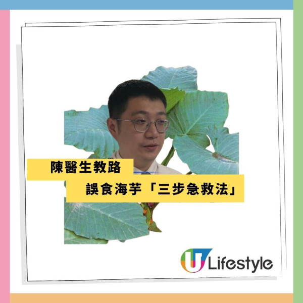 深圳男童公園誤食野草中毒 即變「孖膶腸」！崩潰狂喊：痛到似嘴巴冒煙！醫生揭4特徵分辨毒草 教3步急救