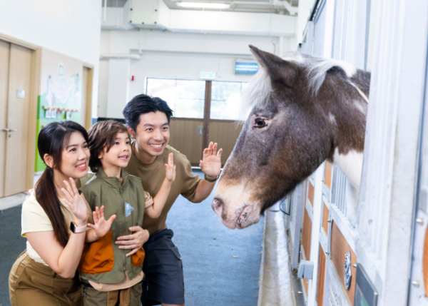 沙田彭福公園「小馬大本營」6.22開幕！$50騎馬體驗 年齡/身高限制一文看清 (附活動詳情)