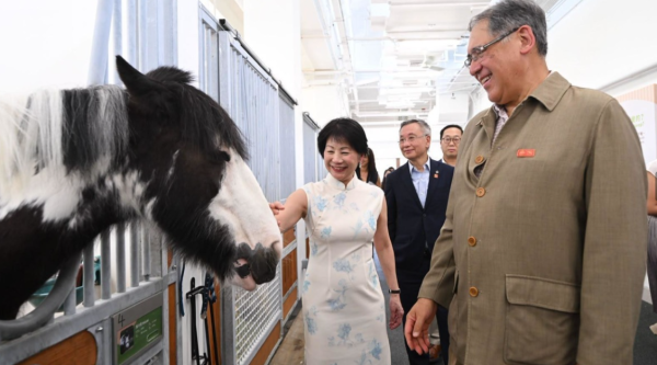 沙田彭福公園「小馬大本營」6.22開幕!$50騎馬體驗 年齡/身高限制一文看清 (附活動詳情)