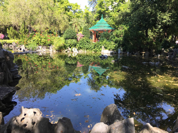 岭南之风（来源：香港自游乐在18区）