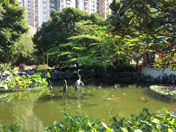 岭南之风（来源：香港自游乐在18区）