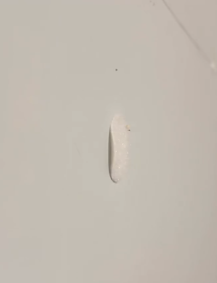 无痕挂钩一撕墙身变“掉皮怪”?油漆品牌亲揭惊人真相:这点保养得宜 7年如新