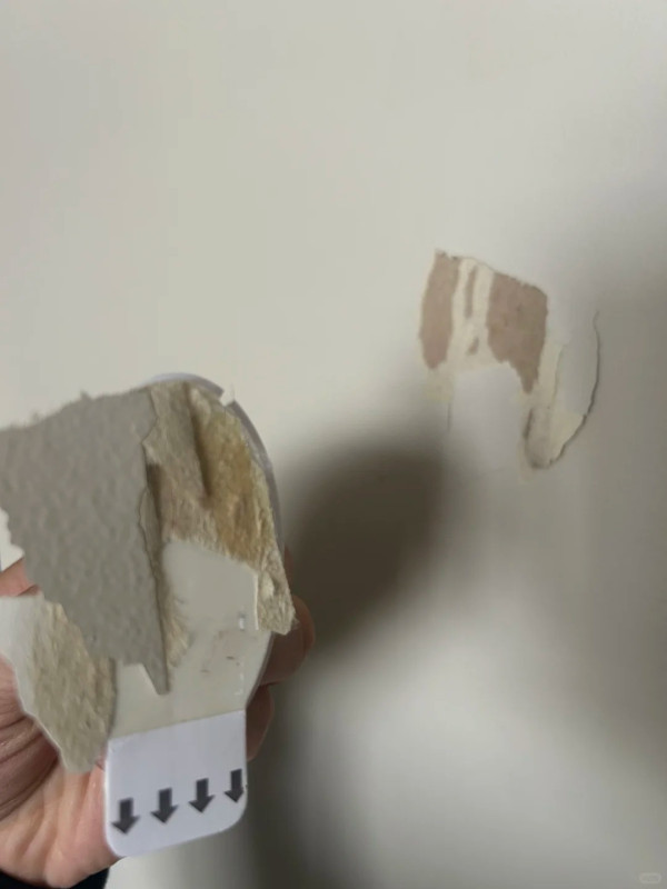无痕挂钩一撕墙身变“掉皮怪”?油漆品牌亲揭惊人真相:这点保养得宜 7年如新