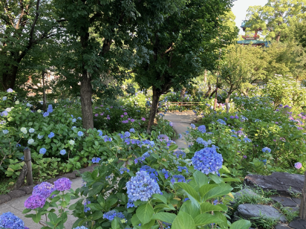 圖片來源：多摩川台公園