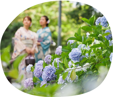 圖片來源：白山神社