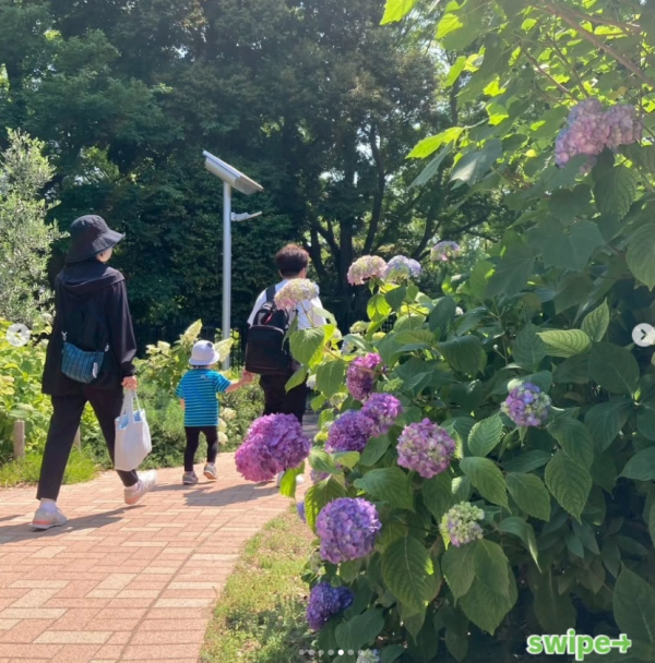 圖片來源：飛鳥山公園IG