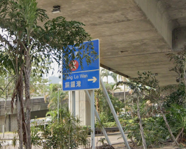 香港有2個銅鑼灣？網民看路牌怒轟「外勞傑作」 知情者反批：多啲睇地圖
