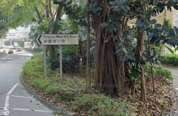 香港有2個銅鑼灣？網民看路牌怒轟「外勞傑作」 知情者反批：多啲睇地圖