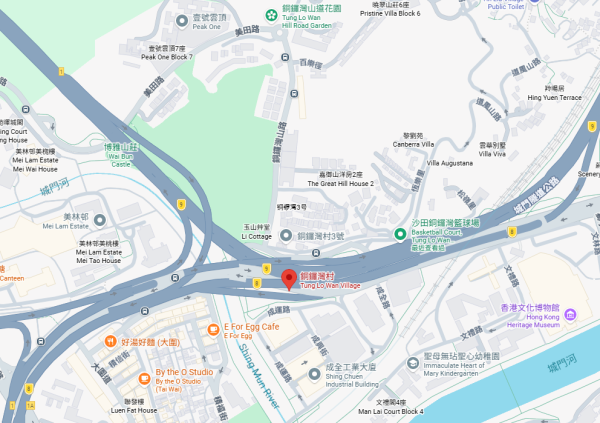 香港有2個銅鑼灣？網民看路牌怒轟「外勞傑作」 知情者反批：多啲睇地圖