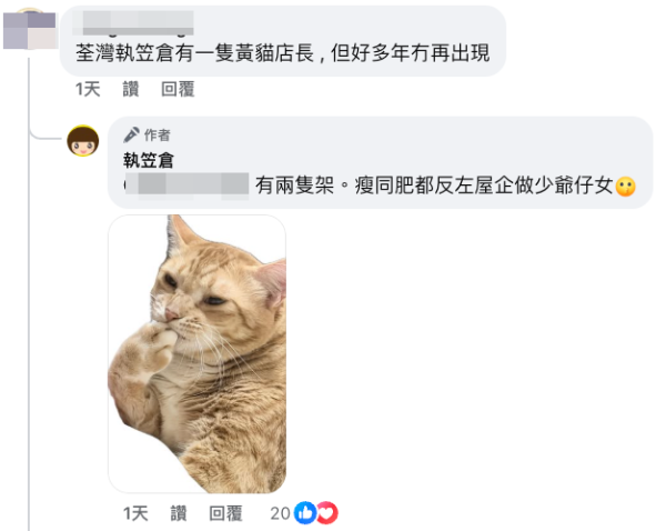 店貓去向成焦點 負責人稱已有好歸宿。（截圖：執笠倉）