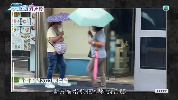 屯門裝修爛尾事件牽扯驚人黑歷史！負責人身份背景被起底！驚爆是「剪傷狗舌」黑心寵物店東主