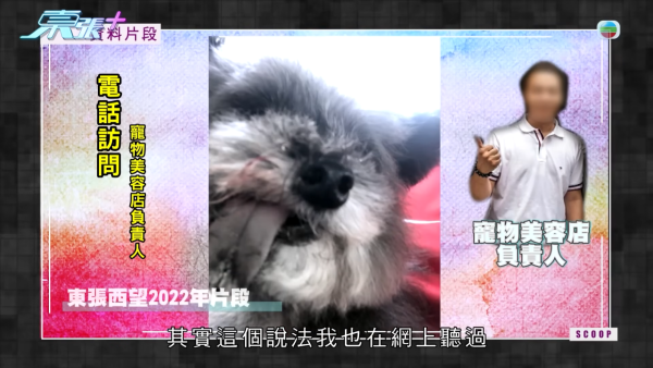 屯門裝修爛尾事件牽扯驚人黑歷史！負責人身份背景被起底！驚爆是「剪傷狗舌」黑心寵物店東主