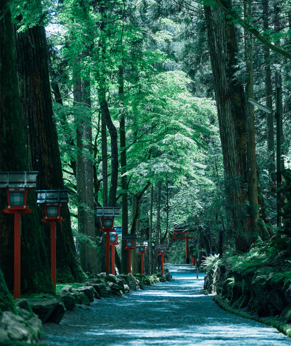貴船神社(圖片來源:kifunejinja.jp) 日本都市傳說|關西藏著恐怖傳說的四大神社!港人必去景點上榜!喺呢度行錯會被「神隱」?