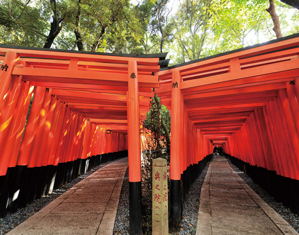 伏見稻荷大社(圖片來源:inari.jp) 日本都市傳說|關西藏著恐怖傳說的四大神社!港人必去景點上榜!喺呢度行錯會被「神隱」?