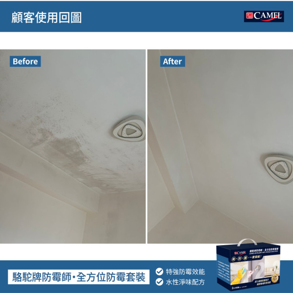 牆身發霉千萬別抹漂白水!油漆公司警告4大後果:越抹越霉!教3步徹底斷尾