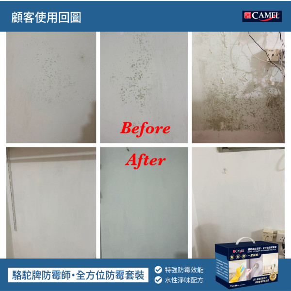 牆身發霉千萬別抹漂白水！油漆公司警告4大後果：越抹越霉！教3步徹底斷尾