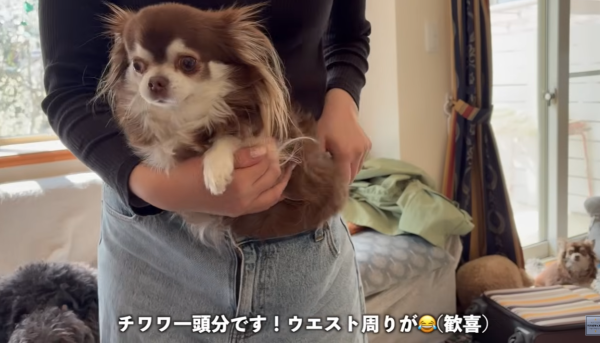 照片來源：YouTube@マツカワリュウドウBASSARIヘアチャンネル