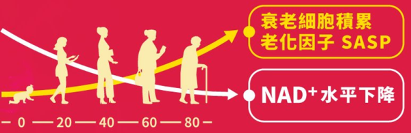 「初戀」Gigi點解Keep得咁好？同你1分鐘自我檢查初老徵兆 Return OPTIMA NMN 40000萬寧出位價 限時優惠低至$1,050/盒