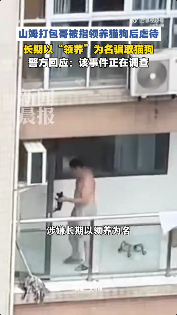 重慶男偽裝愛心領養虐殺多隻貓狗引眾怒 過百熱心市民到場聲討要求立法