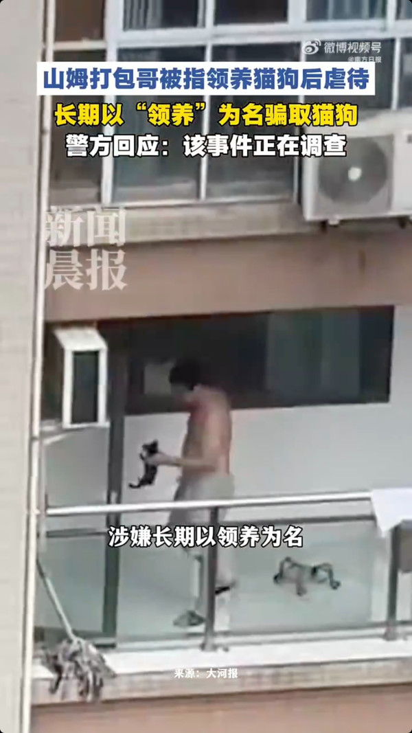 重慶男偽裝愛心領養虐殺多隻貓狗引眾怒 過百熱心市民到場聲討要求立法