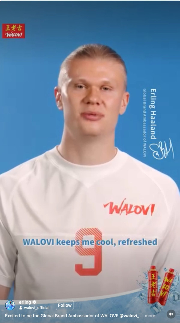 圖片來源：Instagram@walovi_official