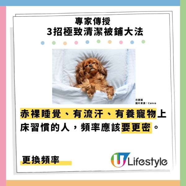床單幾耐換一次？網民自爆一年換一次嚇窒人！專家警告如與細菌同眠：一晚脫半茶匙死皮養塵蟎