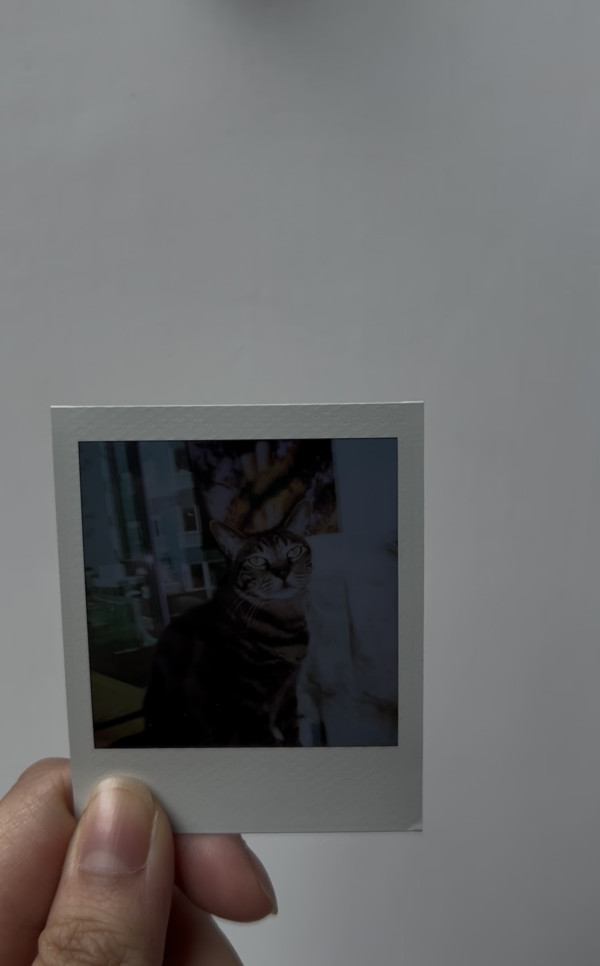 全球最輕巧即影即有！ Polaroid Go Gen 3 登場 5款顏色！雙重曝光/升級鏡頭自拍更方便