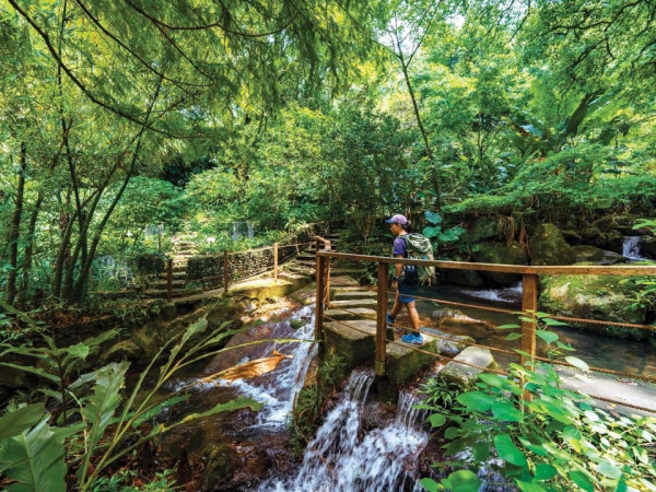 嘉道理農場(來源:旅發局)