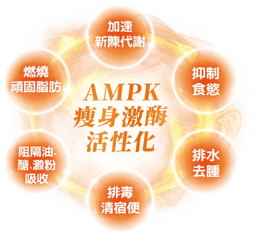 食得少都減唔到?拆解「減肥平台期」真相!靠1招激活「瘦身酵素」 無痛突破樽頸位!